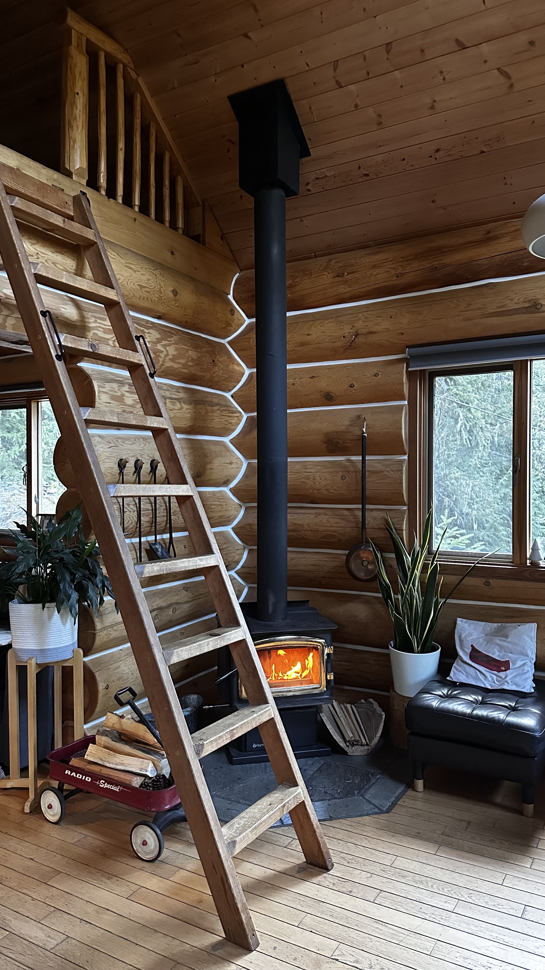 The Cabin — 3