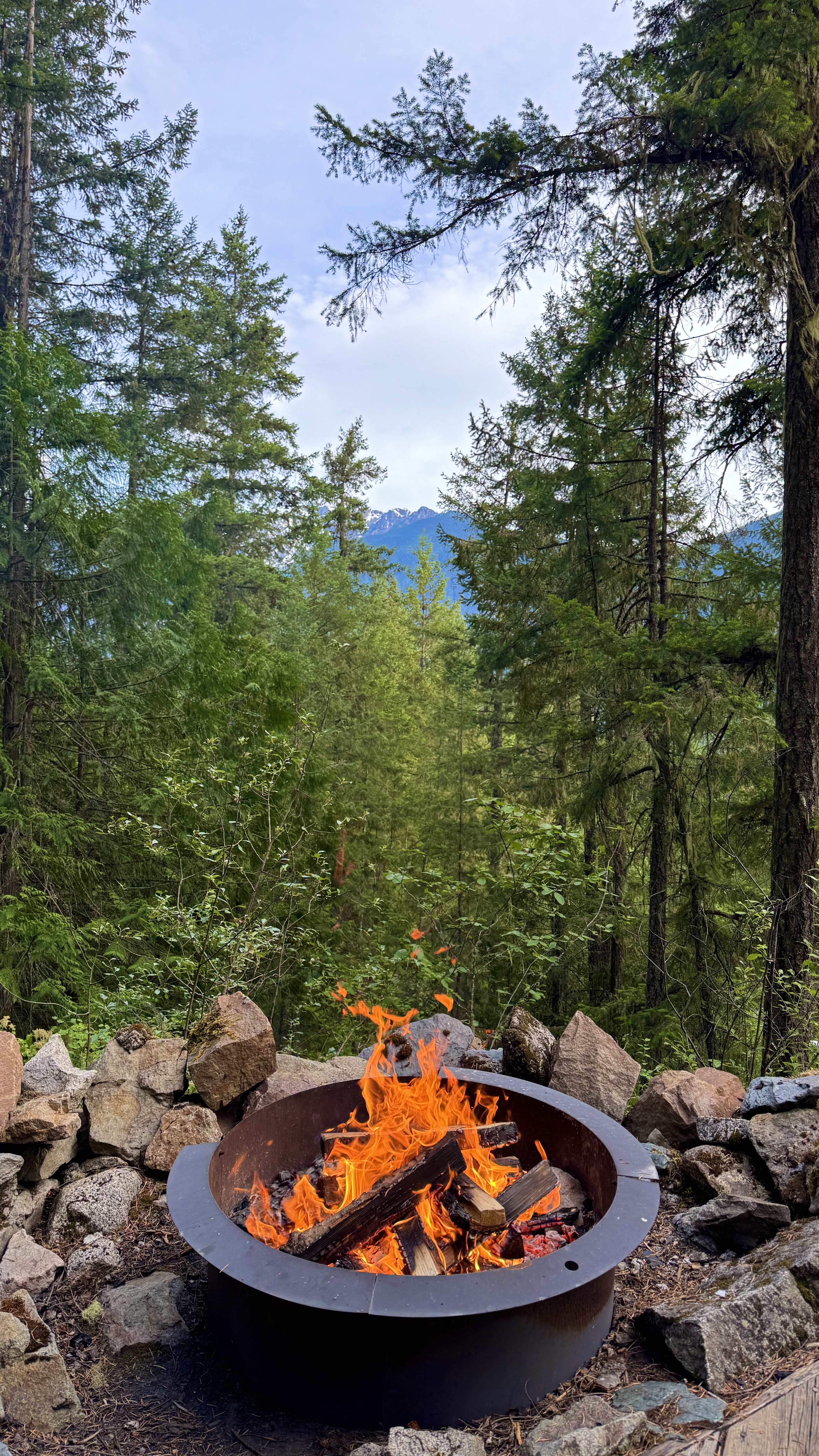 The Cabin — 4