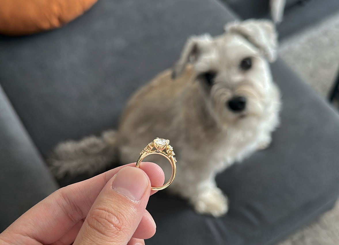 The Knot — 3